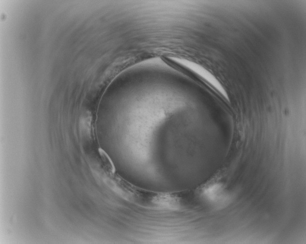 X0000056030231200508261915