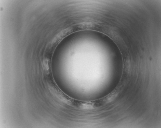 X0000056030232200508261915