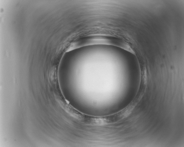 X0000056030233200508261915