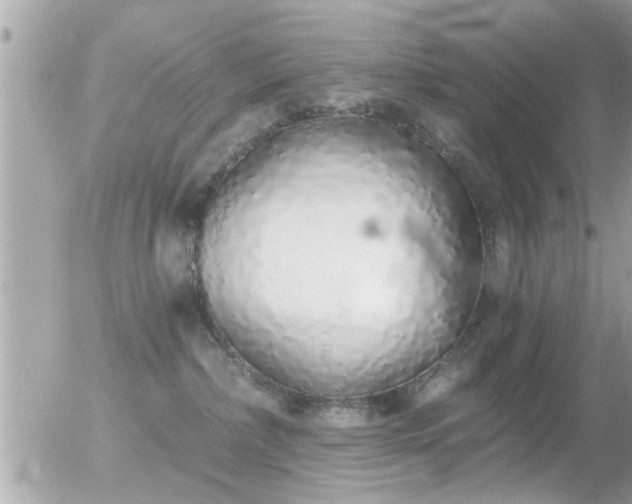 X0000056030236200508261914