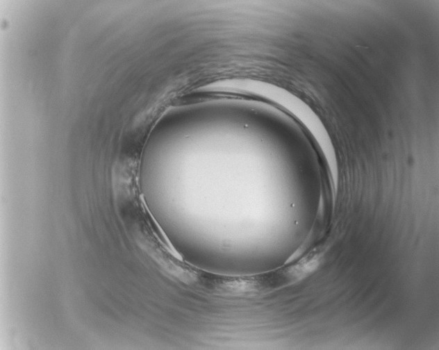 X0000056030237200508261914