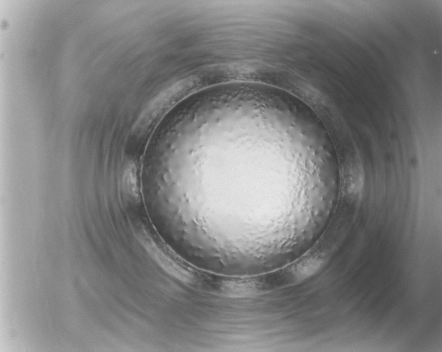 X0000056030238200508261914