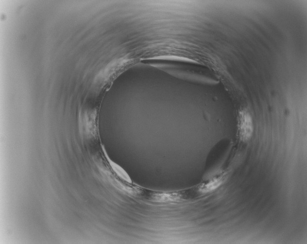 X0000056030239200508261914