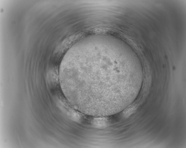 X0000056030240200508261914