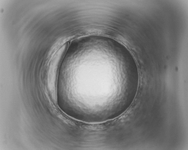 X0000056030241200508261914