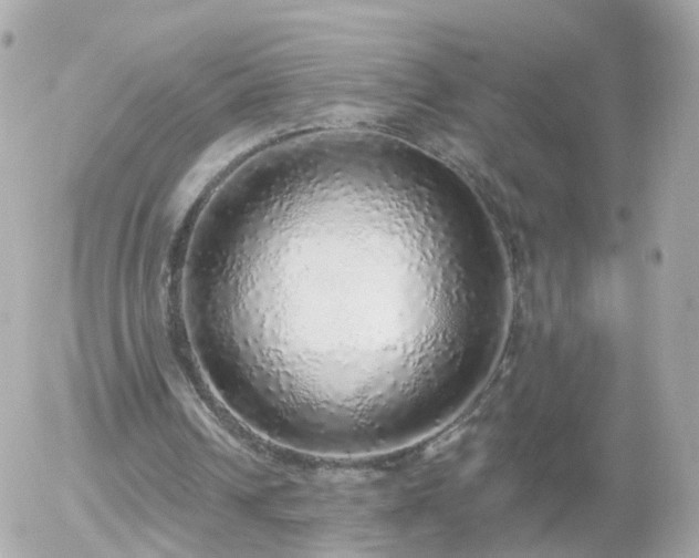 X0000056030242200508261914