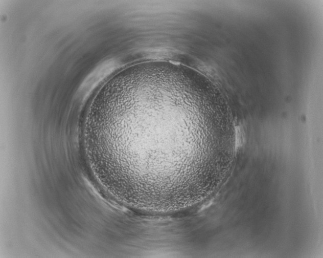 X0000056030243200508261914