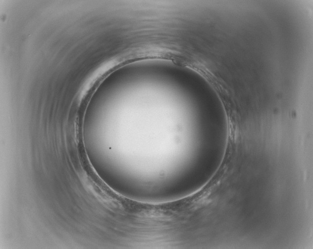 X0000056030244200508261914