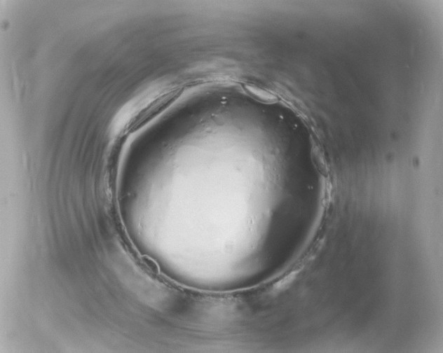 X0000056030245200508261914