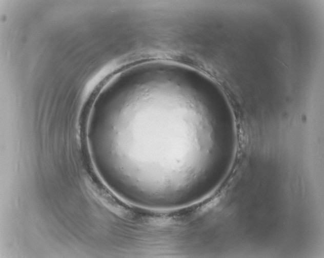 X0000056030246200508261914