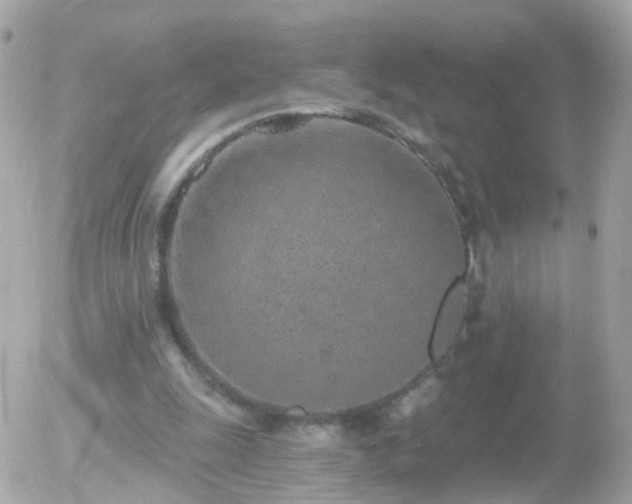 X0000056030247200508261914