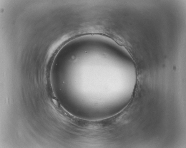 X0000056030248200508261914