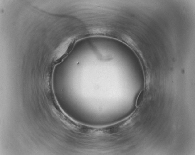 X0000056030249200508261914