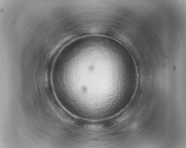 X0000056030251200508261914