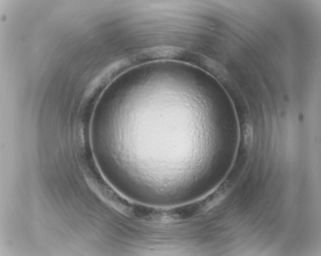 X0000056030254200508261914