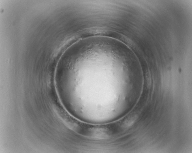 X0000056030255200508261914