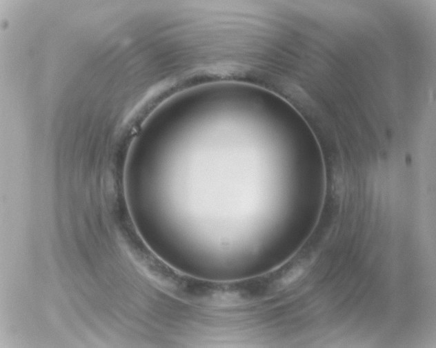 X0000056030256200508261914