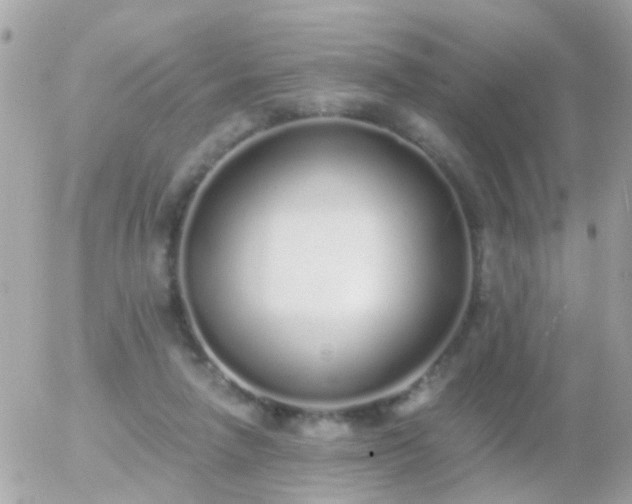 X0000056030258200508261914