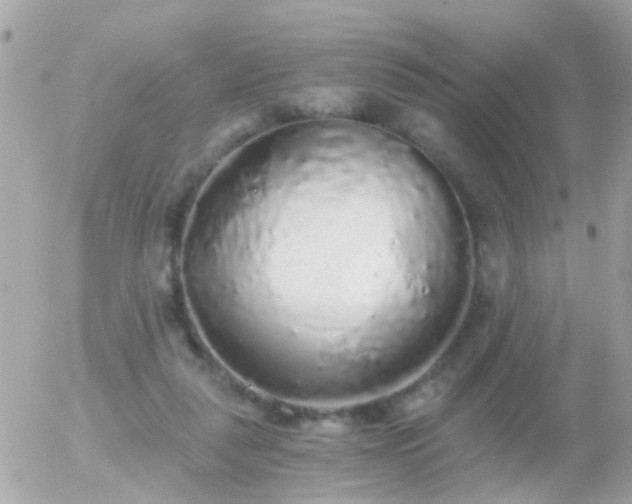 X0000056030259200508261914