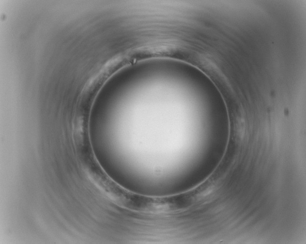 X0000056030260200508261914