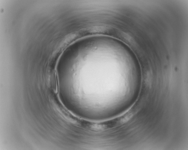 X0000056030261200508261914