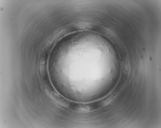 X0000056030263200508261914