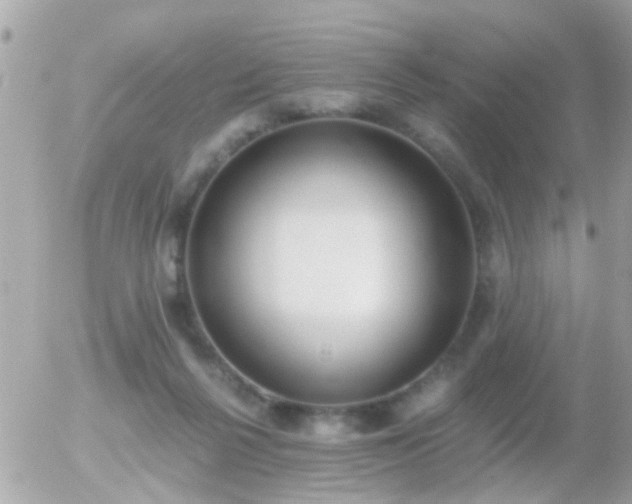 X0000056030264200508261914