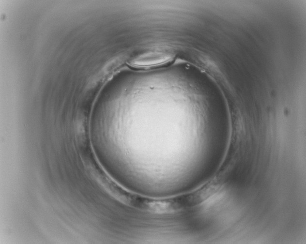 X0000056030265200508261914