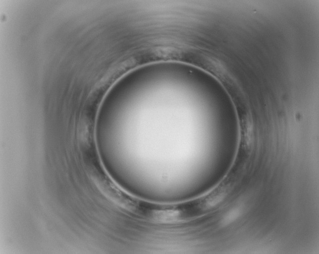 X0000056030266200508261914