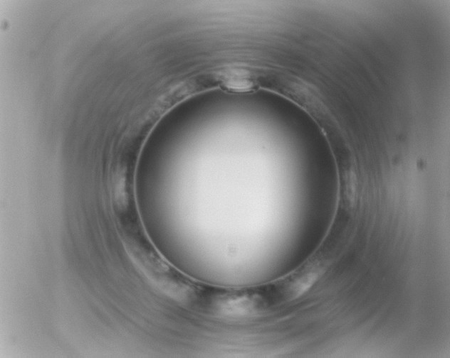 X0000056030267200508261914