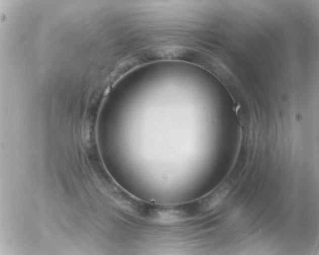 X0000056030268200508261914