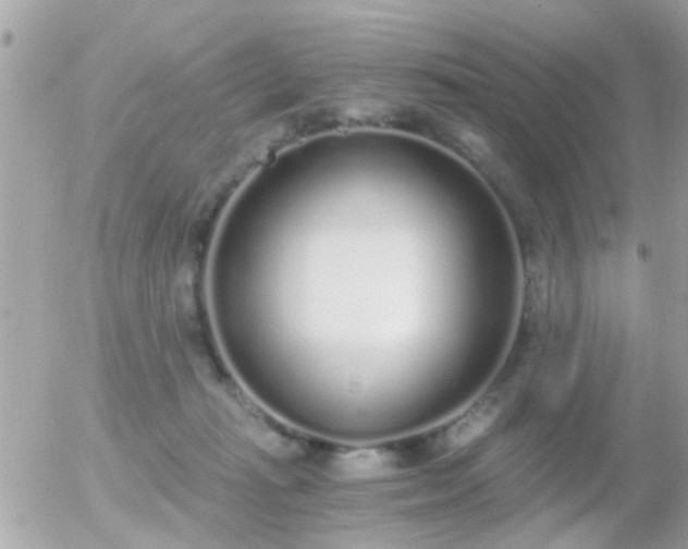 X0000056030269200508261914