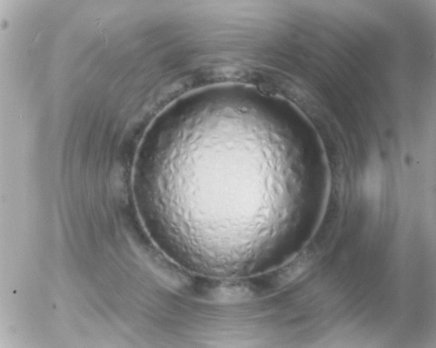 X0000056030270200508261914