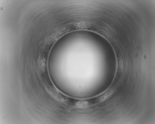 X0000056030271200508261914