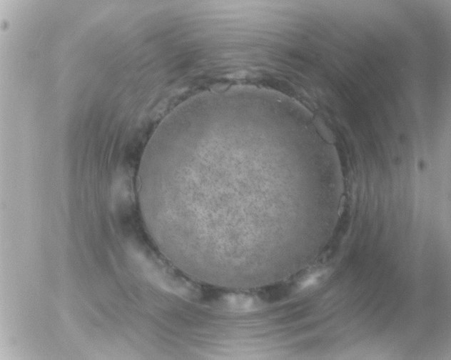 X0000056030272200508261914