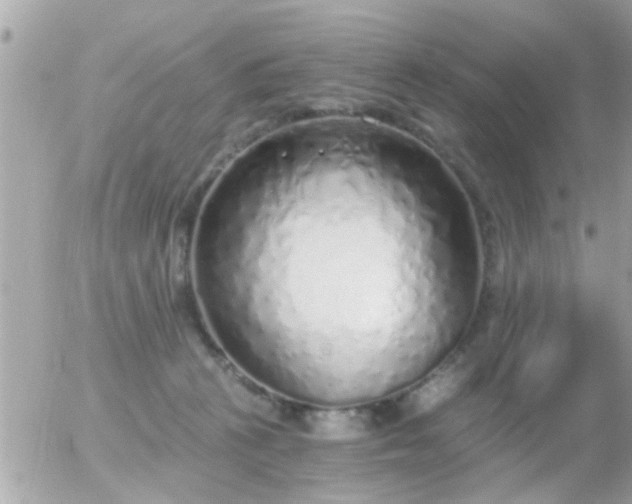 X0000056030273200508261914