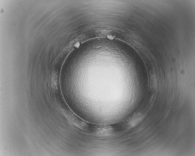 X0000056030274200508261914