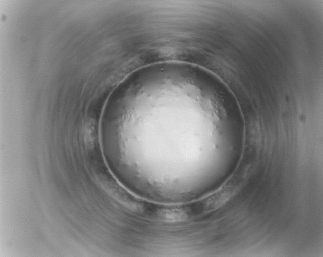 X0000056030275200508261914