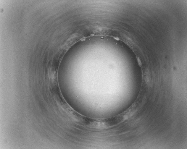 X0000056030276200508261914