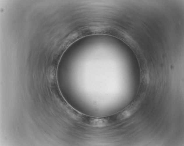 X0000056030277200508261914