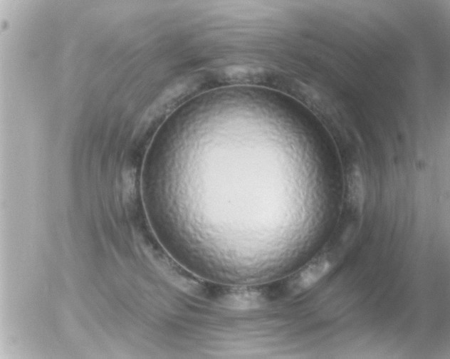 X0000056030278200508261914