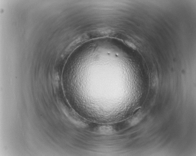 X0000056030279200508261914