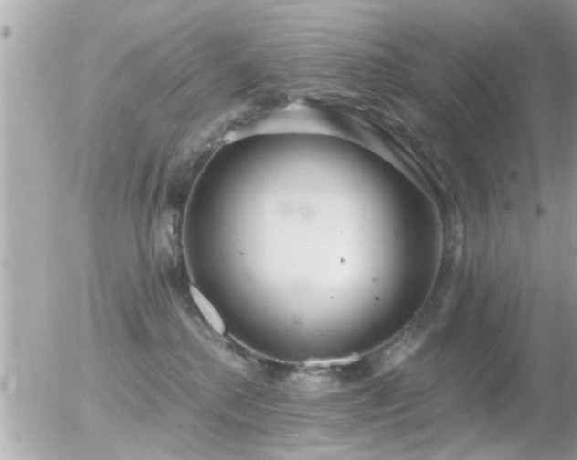 X0000056030280200508261914