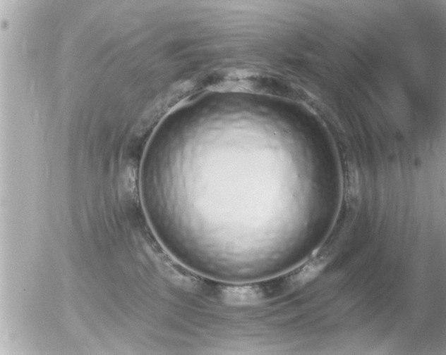 X0000056030281200508261914