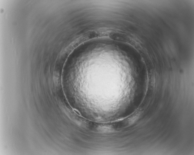 X0000056030283200508261914