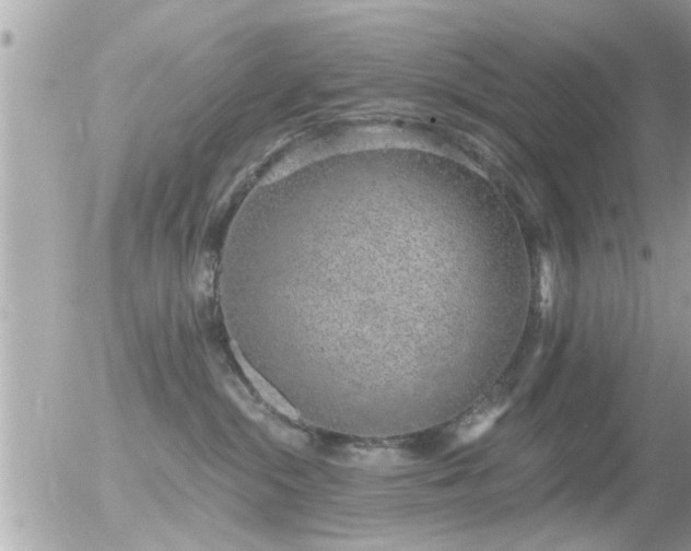 X0000056030284200508261914