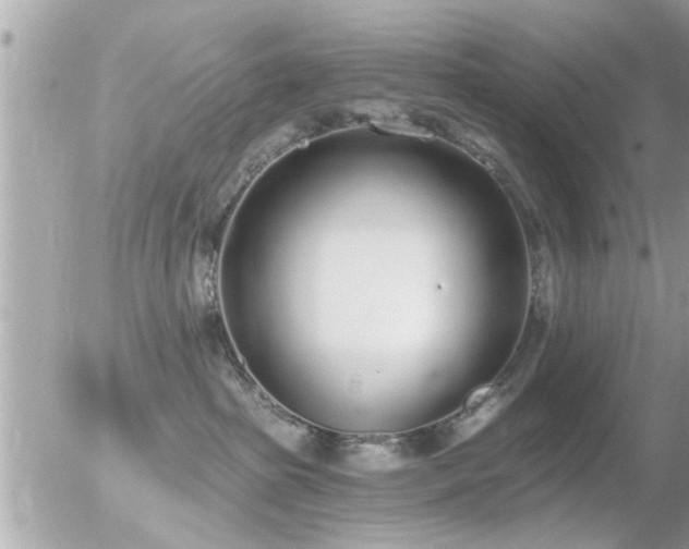 X0000056030285200508261914