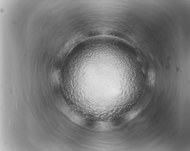 X0000056030286200508261914