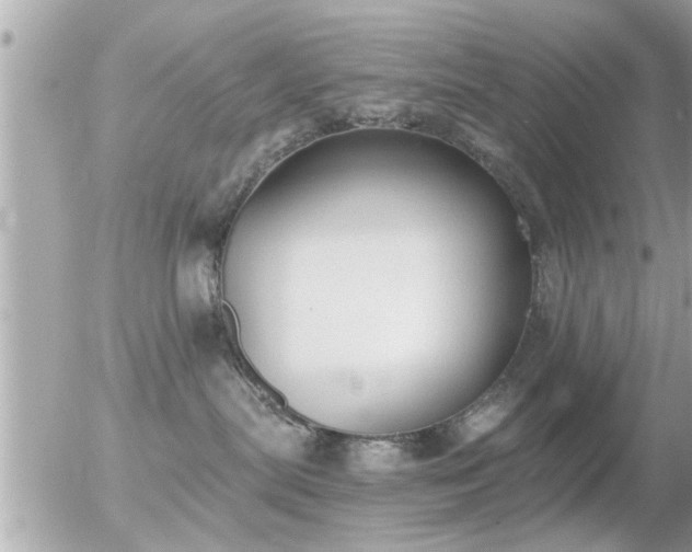 X0000056030287200508261914