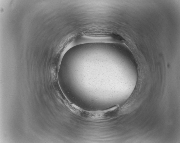 X0000056030288200508261914